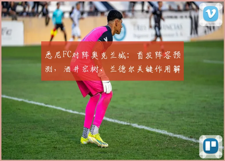 悉尼FC对阵奥克兰城:首发阵容预测,酒井宏树、兰德尔关键作用解析